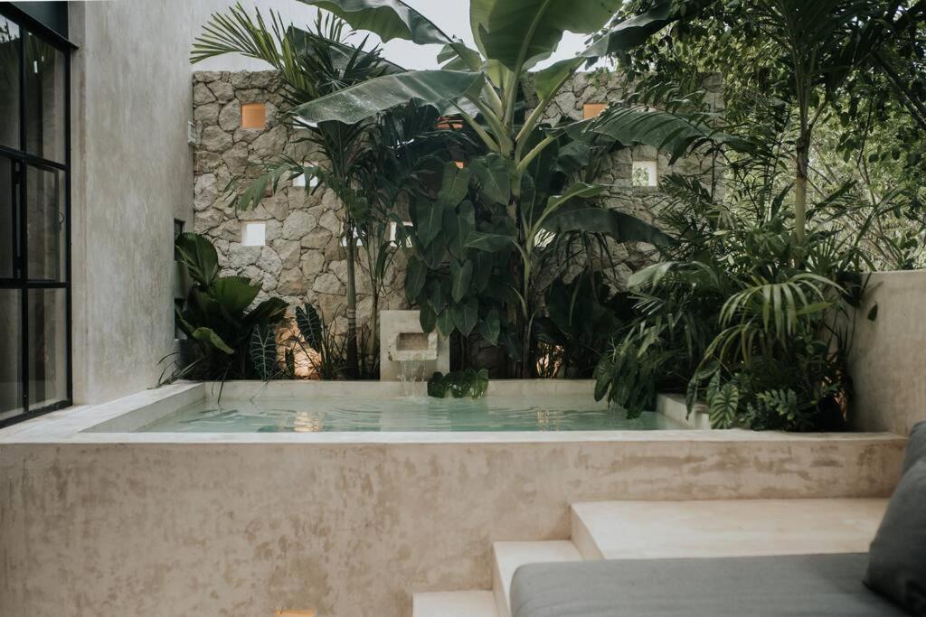Apartment Design Casa Amonita *